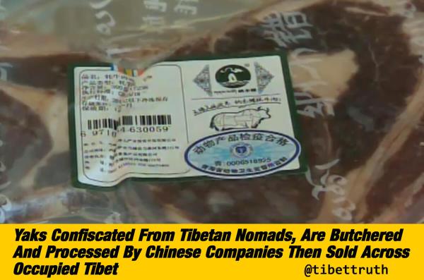 China Stealing Tibet's Yaks And Sells Products Back To Tibetans For Big Profits