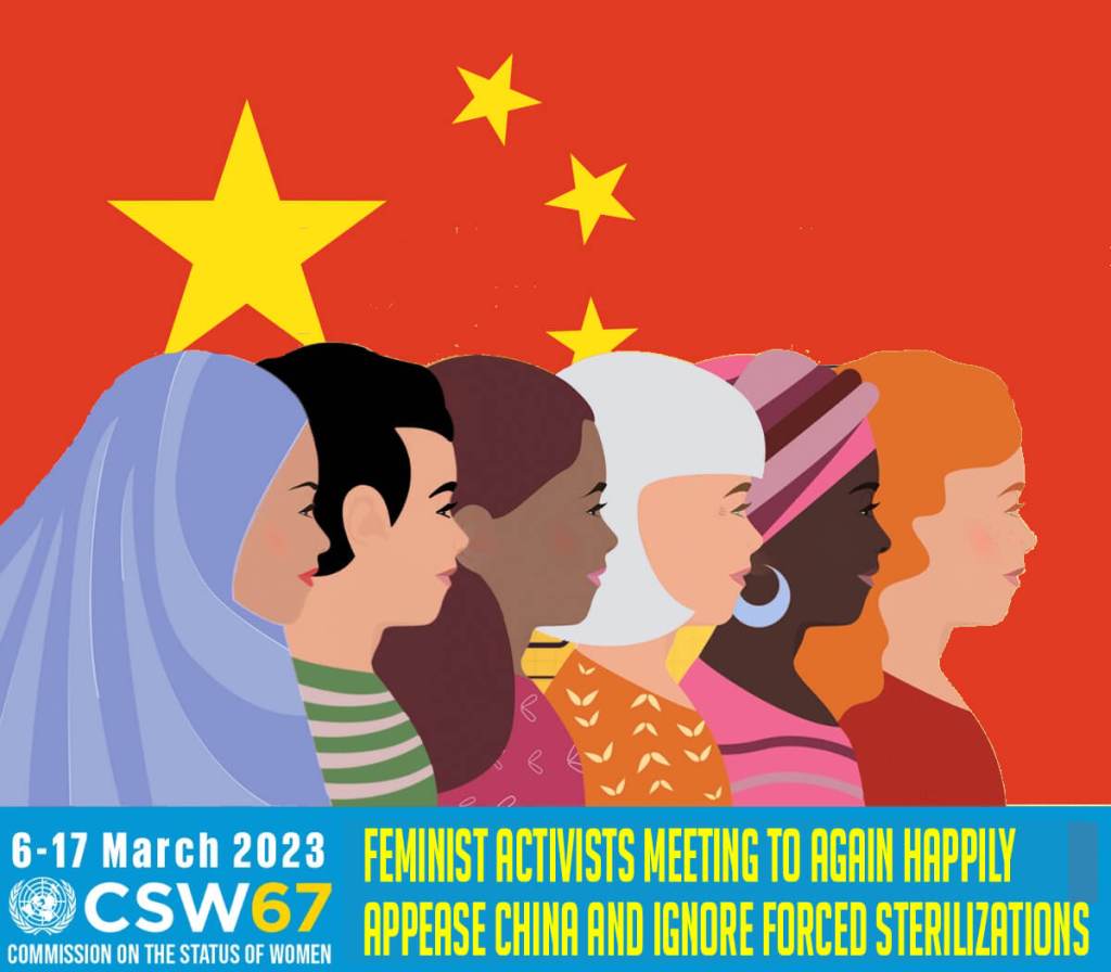 Fake Feminists Gather At UN To Ignore China's Forced Sterilizations